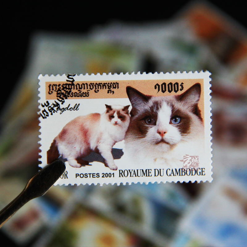 50 Different Cats Stamps 50 No - огляд і ціна Vintage Collectible Stamps