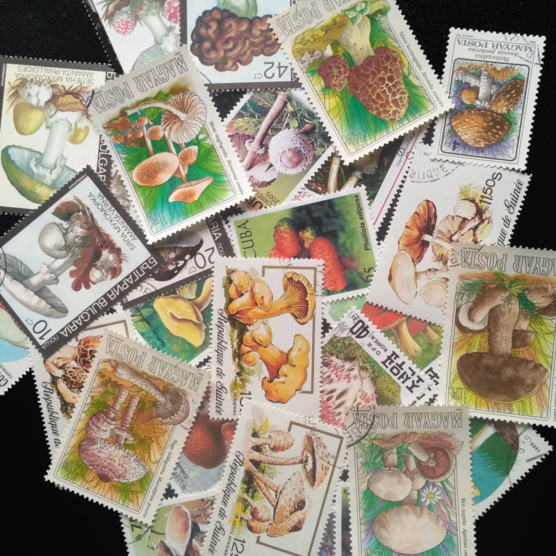 100 Different Original Mushroo - огляд і ціна Vintage Collectible Stamps