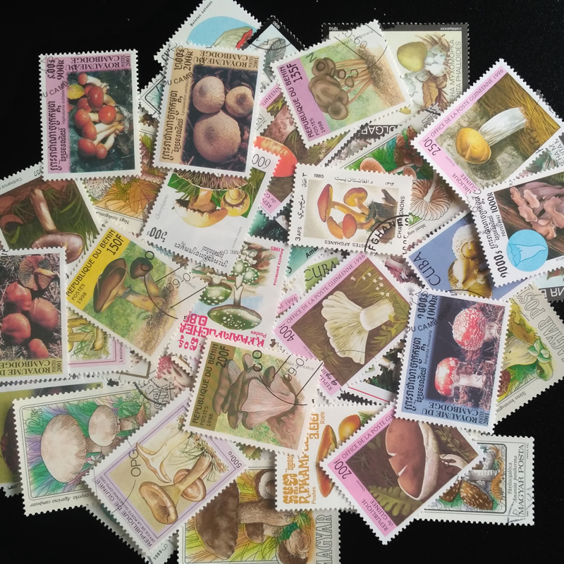 100 Different Original Mushroo - огляд і ціна Vintage Collectible Stamps